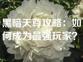 黑暗天尊攻略：如何成为最强玩家？