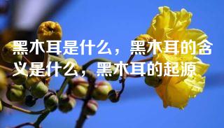 黑木耳是什么，黑木耳的含义是什么，黑木耳的起源