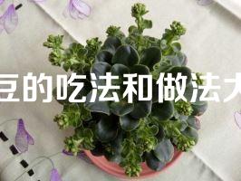 黑豆的吃法和做法大全