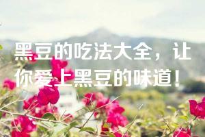 黑豆的吃法大全，让你爱上黑豆的味道！
