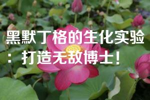 黑默丁格的生化实验：打造无敌博士！