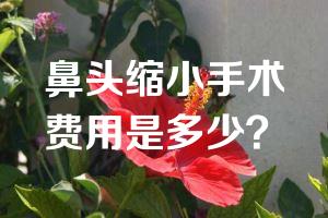 鼻头缩小手术费用是多少？
