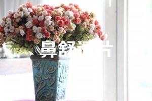 鼻舒适片