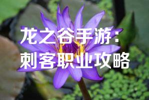 龙之谷手游：刺客职业攻略