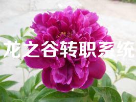 龙之谷转职系统