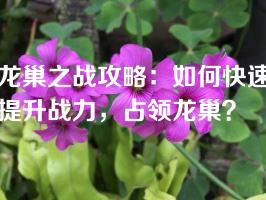 龙巢之战攻略：如何快速提升战力，占领龙巢？