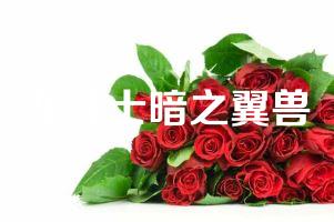 龙斗士暗之翼兽