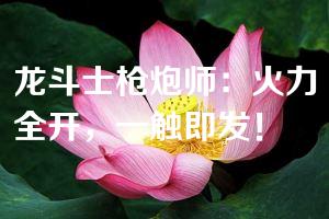 龙斗士枪炮师：火力全开，一触即发！