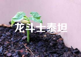 龙斗士泰坦