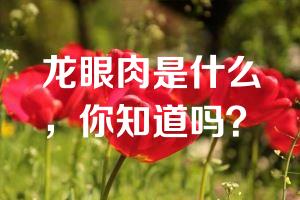 龙眼肉是什么，你知道吗？