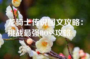 龙骑士传说图文攻略：挑战最强boss攻略