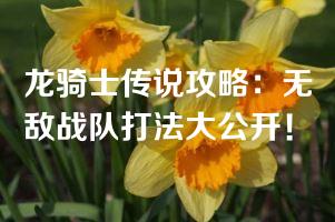 龙骑士传说攻略：无敌战队打法大公开！