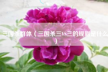 三国杀群体（三国杀三vs三的规则是什么）