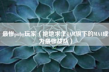 最惨pubg玩家（绝地求生4am旗下的ma4成为最惨战队）