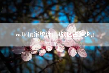 cod16玩家统计(cod战区占多少g)