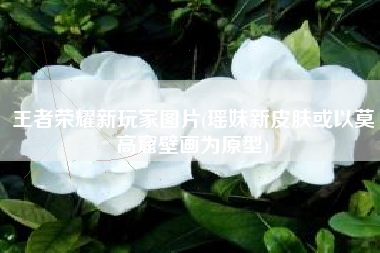 王者荣耀新玩家图片(瑶妹新皮肤或以莫高窟壁画为原型)