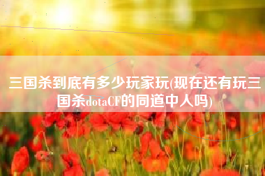 三国杀到底有多少玩家玩(现在还有玩三国杀dotacf的同道中人吗)
