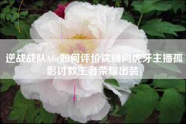 逆战战队ag(如何评价沈腾向虎牙主播孤影讨教王者荣耀出装)