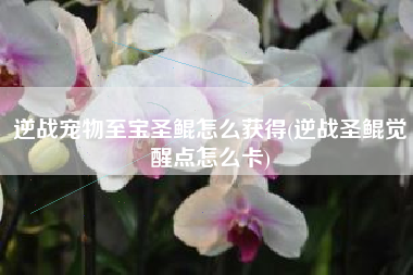 逆战宠物至宝圣鲲怎么获得(逆战圣鲲觉醒点怎么卡)