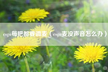 csgo每把都要调麦（csgo麦没声音怎么办）