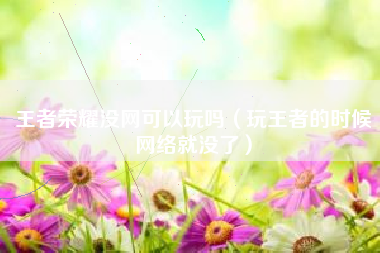 王者荣耀没网可以玩吗（玩王者的时候网络就没了）