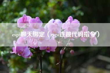 csgo聊天绑定（csgo连跳代码指令）