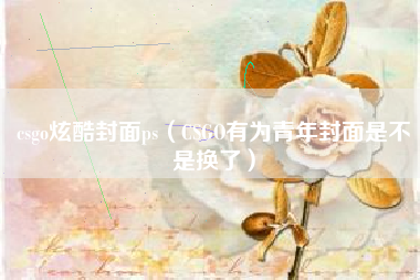 csgo炫酷封面ps（csgo有为青年封面是不是换了）