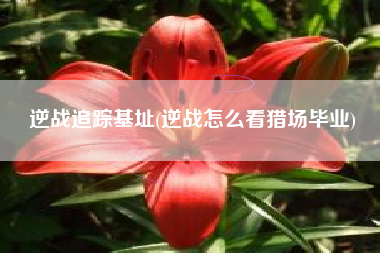 逆战追踪基址(逆战怎么看猎场毕业)