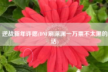 逆战新年许愿(dnf刷深渊一万票不太黑的话)