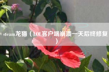 steam龙猫（lol客户端崩溃一天后终修复）