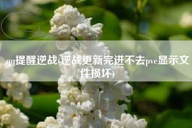 qq提醒逆战(逆战更新完进不去pve显示文件损坏)