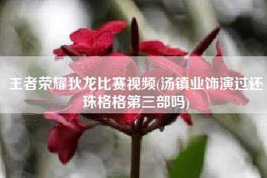 王者荣耀狄龙比赛视频(汤镇业饰演过还珠格格第三部吗)