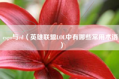 csgo与cd（英雄联盟lol中有哪些常用术语）