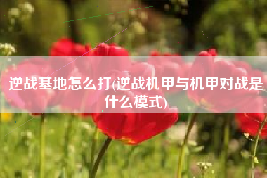 逆战基地怎么打(逆战机甲与机甲对战是什么模式)