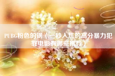 pubg粉色的锅（一秒入坑的高分暴力犯罪电影有哪些推荐）