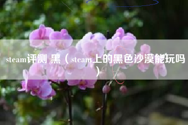 steam评测 黑（steam上的黑色沙漠能玩吗）