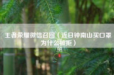 王者荣耀微信召回（近日钟南山买口罩为什么被拒）