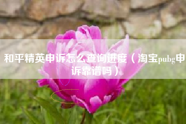 和平精英申诉怎么查询进度（淘宝pubg申诉靠谱吗）