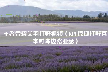 王者荣耀关羽打野视频（kpl惊现打野宫本对阵边路亚瑟）