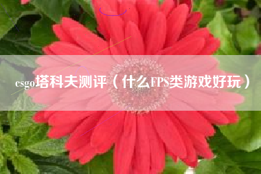 csgo塔科夫测评（什么fps类游戏好玩）