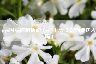 csgo国服送枪活动（csgo七天冷却期能送人吗）