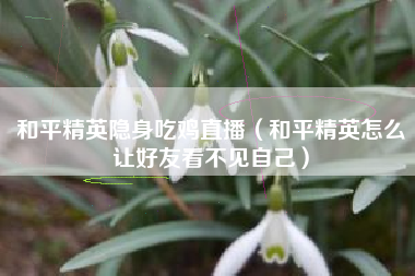 和平精英隐身吃鸡直播（和平精英怎么让好友看不见自己）