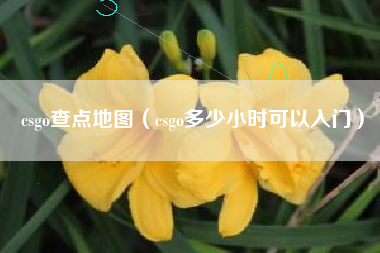 csgo查点地图（csgo多少小时可以入门）