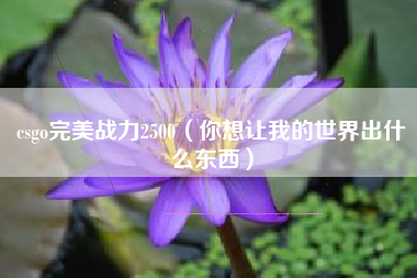 csgo完美战力2500（你想让我的世界出什么东西）