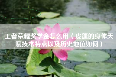 王者荣耀奖学金怎么用（皮蓬的身体天赋技术特点以及历史地位如何）
