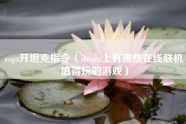 csgo开坦克指令（steam上有哪些在线联机值得玩的游戏）