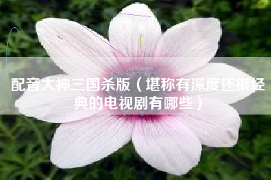配音大神三国杀版(堪称有深度还很经典的电视剧有哪些) 配音大神三国杀版(堪称有深度还很经典的电视剧有哪些)