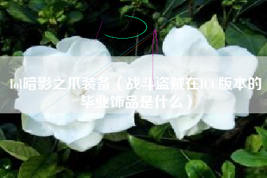 lol暗影之爪装备（战斗盗贼在icc版本的毕业饰品是什么）