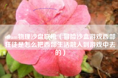 steam物理沙盘联机（冒险沙盒游戏西部狂徒是怎么把西部生活融入到游戏中去的）
