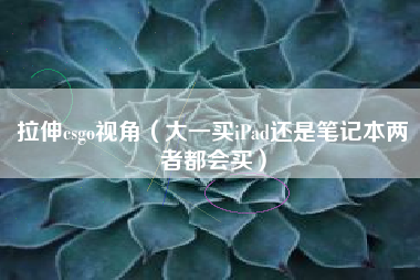 拉伸csgo视角（大一买ipad还是笔记本两者都会买）